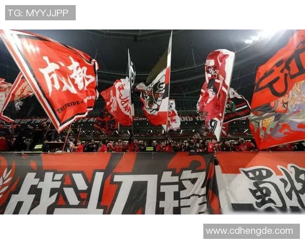 成都足球队的转型之路：从传统强队到现代化足球俱乐部的蜕变与挑战